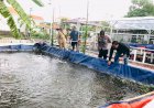 Sinergitas-Bersama-Sukseskan-Program-Ketahanan-Pangan-Lewat-Budidaya-Ikan-Lele-di-Desa-Bangah