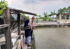 Polisi-Sidoarjo-Dorong-Warga-Budidaya-Ikan-Nila-untuk-Ketahanan-Pangan-Mandiri