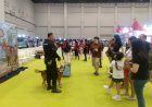 Polisi-Satwa-K-9-Ramaikan-Pet-Adventure-Wonderland-di-PIK,-Edukasi-Masyarakat-Disambut-Antusias