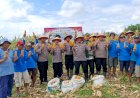 Panen-Jagung,-Polsek-Balongbendo-Targetkan-60-Ton-Hasil-Produksi