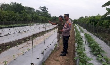 Kanit-Binmas-Polsek-Taman-Cek-Lokasi-Ketahanan-Pangan-Bergizi-di-Desa-Sambibulu