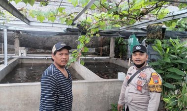 Bhabinkamtibmas-Desa-Ketajen-Tinjau-Peternakan-Nila-Merah,-Dukung-Ketahanan-Pangan-Masyarakat