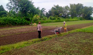 Warga-Jatikalang-Ubah-Lahan-Kosong-Jadi-Produktif-dengan-Tanaman-Sayur