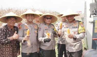 Kapolda-Jawa-Timur-dan-Forkopimda-Panen-Raya-Jagung-di-Prambon-Sidoarjo