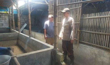 Kapolsek-Tarik-Tinjau-Peternakan-Itik-Warga,-Dukung-Implementasi-Program-Ketahanan-Pangan-Asta-Cita-Presiden-RI