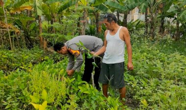 POLRESTA-SIDOARJO-|-Solid-untuk-Ketahanan-Pangan,-Polisi-di-Gedangan-Bersama-Petani-Kembangkan-Pekarangan-Bergizi