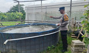 Bhabinkamtibmas-Desa-Kraton-Koordinasi-dengan-Pembudidaya-Ikan-Nila-Bumdes-Kraton