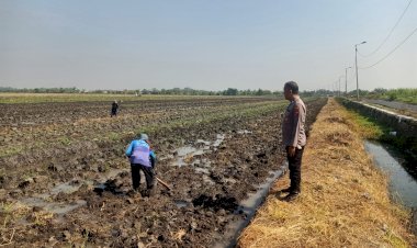 Bhabinkamtibmas-Kedungrejo-Dukung-Ketahanan-Pangan-Lewat-Ternak-Burung-Puyuh