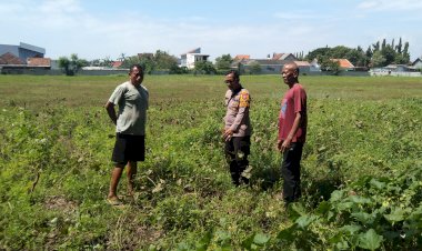 Bhabinkamtibmas-Sidoarjo-Dukung-Ketahanan-Pangan,-Cek-Pengelolaan-Lahan-P2B-di-Desa-Gebang