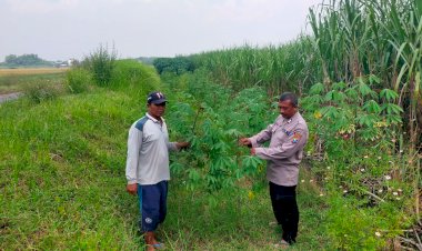 Polisi-Ajak-Warga-Gagang-Kepuhsari-Balongbendo-Kelola-Lahan-Kosong-di-Tanami-Sayuran
