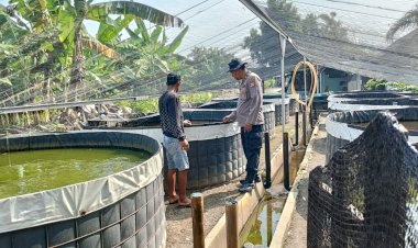 Polsek-Porong-Dampingi-Budidaya-Lele-di-Desa-Kebonagung-Sidoarjo-untuk-Perkuat-Ketahanan-Pangan