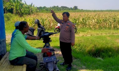 Tanaman-Jagung-Mulai-Berbuah,-Polsek-Gedangan-Intensifkan-Pendampingan-Ketahanan-Pangan