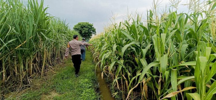 Kapolsek Tarik Masifkan Patroli Sambang Desa Dukung Program Asta Cita Presiden
